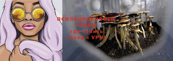 MDMA Белокуриха
